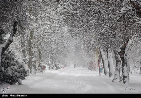 بارش برف در ایران،تصاویر خبری،عکس خبری بارش برف در ایران،تصاویر خبری،عکس خبری