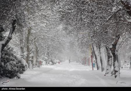 بارش برف در ایران،تصاویر خبری،عکس خبری