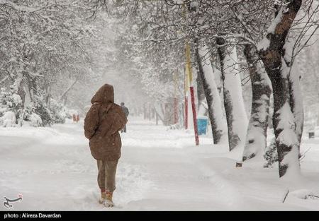 بارش برف در ایران،تصاویر خبری،عکس خبری