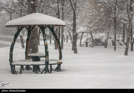 بارش برف در ایران،تصاویر خبری،عکس خبری