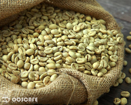 قهوه سبز چیست,قهوه عربیکا,ویژگی های قهوه عربیکا