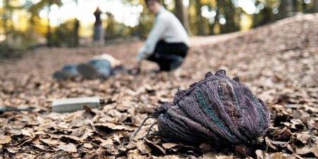 هری پاتر ،اخبار فرهنگی،خبرهای فرهنگی هری پاتر ,اخبار فرهنگی,خبرهای فرهنگی