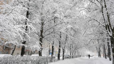 بارش باران و برف ،اخباراجتماعی ،خبرهای اجتماعی بارش باران و برف ,اخبار اجتماعی ,خبرهای اجتماعی