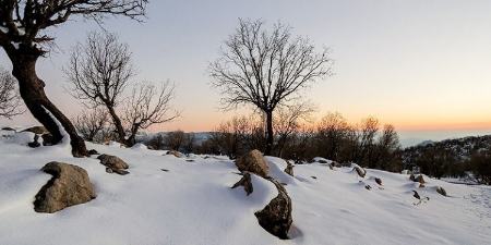 هواشناسی ایران،اخبار اجتماعی،خبرهای اجتماعی