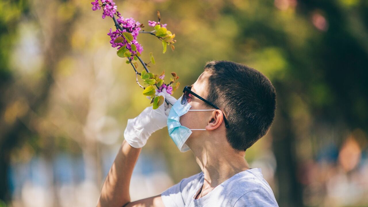 حس بویایی،اخبار پزشکی،خبرهای پزشکی حس بویایی،اخبار پزشکی،خبرهای پزشکی