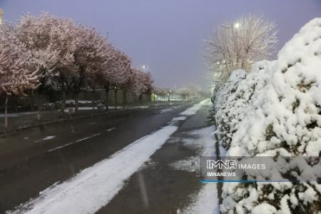 بارش نخستین برف زمستانی در اصفهان،عکس خبری،تصاویر خبری بارش نخستین برف زمستانی در اصفهان،عکس خبری،تصاویر خبری