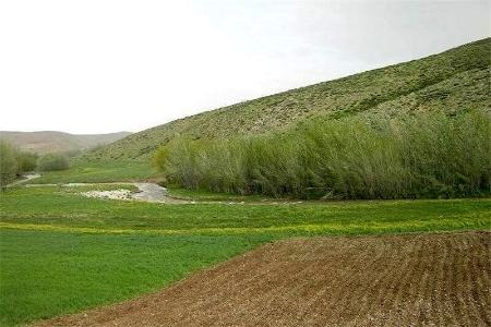 اراضی ملی،اخبار اجتماعی،خبرهای اجتماعی اراضی ملی،اخبار اجتماعی،خبرهای اجتماعی