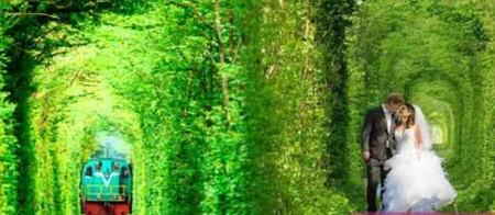 دانستنیهای جالب درباره اوکراین،اخبار گوناگون،خبرهای گوناگون دانستنیهای جالب درباره اوکراین،اخبار گوناگون،خبرهای گوناگون