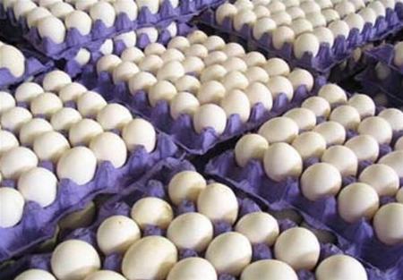 قیمت تخم مرغ،اخبار اقتصادی،خبرهای اقتصادی قیمت تخم مرغ،اخبار اقتصادی،خبرهای اقتصادی