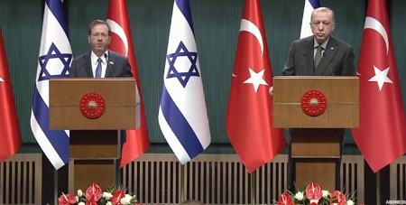 دیدار رئیس جمهور اسرائیل با اردوغان،اخبار بین الملل،خبرهای بین الملل