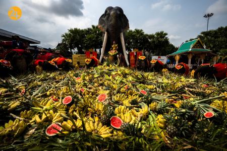 روز ملی فیل در تایلند،اخبار گوناگون،خبرهای گوناگون