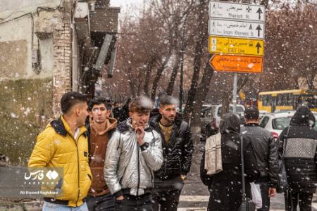 نوروز زمستانی تبریز،تصاویر خبری،عکس خبری نوروز زمستانی تبریز،تصاویر خبری،عکس خبری