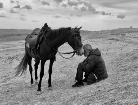 عکسهای جالب,عکسهای جذاب,مسابقه عکاسی 