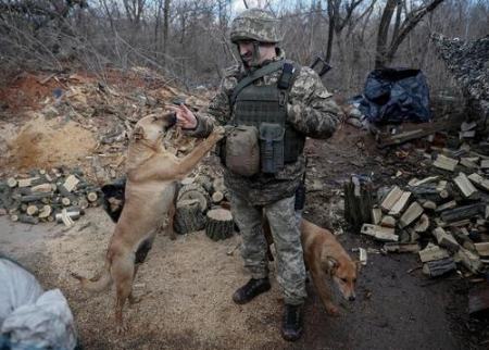 عکسهای جالب,عکسهای جذاب, ارتش اوکراین 