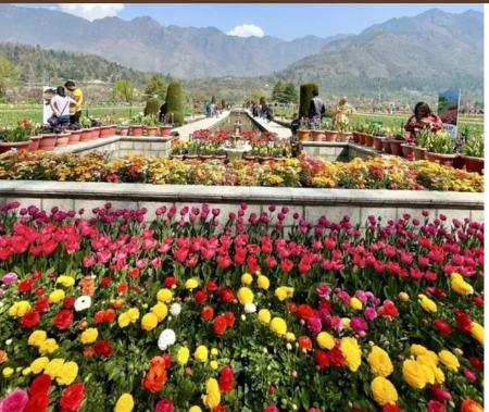  بزرگ‌ترین باغ گل لاله آسیا ,اخبارگوناگون,خبرهای گوناگون 