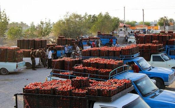  صادرات گوجه‌فرنگی,اخباراقتصادی ,خبرهای اقتصادی 