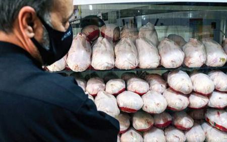 مرغ،اخباراقتصادی ،خبرهای اقتصادی مرغ,اخباراقتصادی ,خبرهای اقتصادی