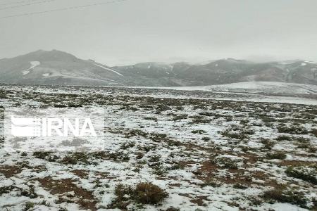 بارش برف بهاری ،اخباراجتماعی ،خبرهای اجتماعی بارش برف بهاری ,اخبار اجتماعی ,خبرهای اجتماعی