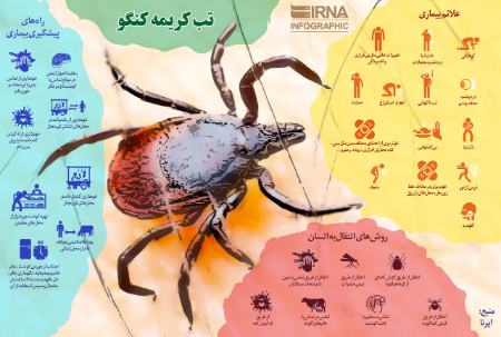 تب کریمه کنگو,اخبار پزشکی ,خبرهای پزشکی