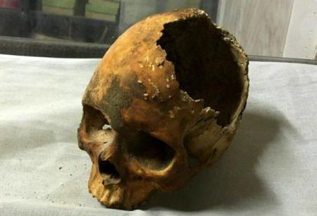 جمجمه نادر شاه ،اخبار فرهنگی،خبرهای فرهنگی جمجمه نادر شاه ,اخبار فرهنگی,خبرهای فرهنگی