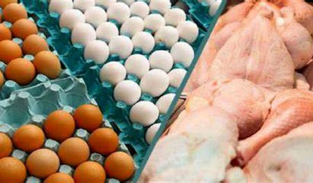 قیمت مرغ،اخبار اقتصادی،خبرهای اقتصادی قیمت مرغ،اخبار اقتصادی،خبرهای اقتصادی
