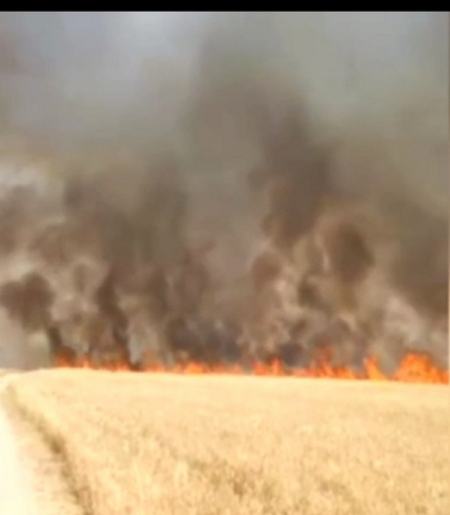 آتش سوزی گسترده در مزارع کشاورزی ایذه،اخبار اجتماعی،خبرهای اجتماعی