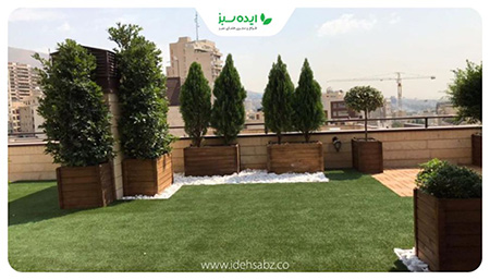 نکته برای خرید درختان مناسب روف گاردن همه چیز درباره ی درختان مناسب روف گاردن,بهترین درختان برای روف گاردن,معرفی درختان مناسب روف گاردن