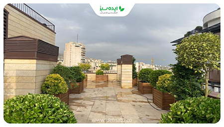 درختان تزئینی مناسب روف گاردن آشنایی با درختان مناسب روف گاردن,درختان میوه مناسب روف گاردن,مناسب ترین درختان میوه برای روف گاردن