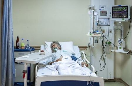 انتقال آبله میمون ،اخبار پزشکی ،خبرهای پزشکی انتقال آبله میمون,اخبار پزشکی ,خبرهای پزشکی