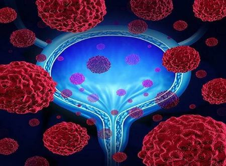 هورمونهای جنسی ،اخبار پزشکی ،خبرهای پزشکی هورمونهای جنسی,اخبار پزشکی ,خبرهای پزشکی