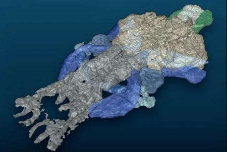   موجودی عجیب,اخبارگوناگون,خبرهای گوناگون 