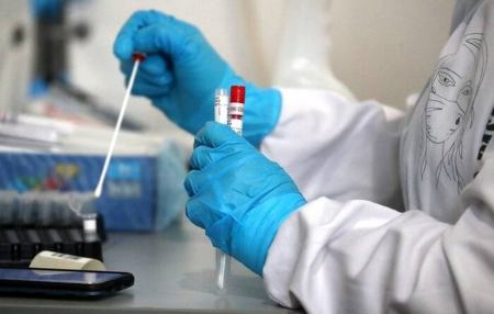آبله میمون ،اخبار پزشکی ،خبرهای پزشکی آبله میمون,اخبار پزشکی ,خبرهای پزشکی