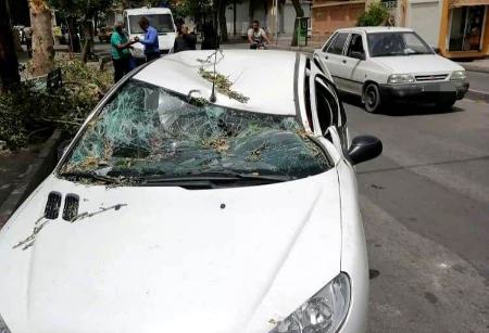 باد شدید در شیراز،اخبار حوادث،خبرهای حوادث باد شدید در شیراز،اخبار حوادث،خبرهای حوادث