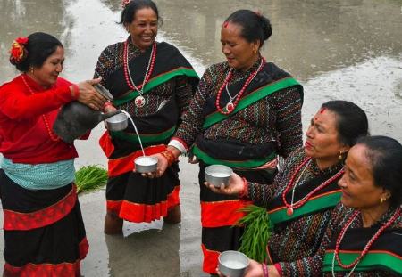  جشن شالیکاران,اخبارگوناگون,خبرهای گوناگون 