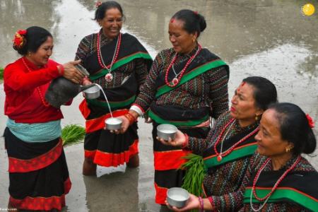 جشن شالیکاران،اخبارگوناگون,خبرهای گوناگون جشن شالیکاران,اخبارگوناگون,خبرهای گوناگون