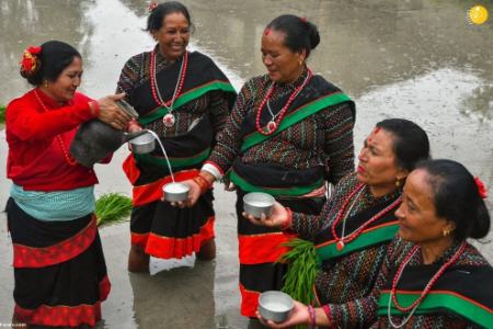  جشن شالیکاران,اخبارگوناگون,خبرهای گوناگون 