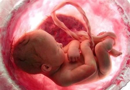ناباروری و سقط جنین ,اخبار پزشکی ,خبرهای پزشکی