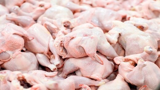  قیمت جدید مرغ,اخباراقتصادی ,خبرهای اقتصادی 