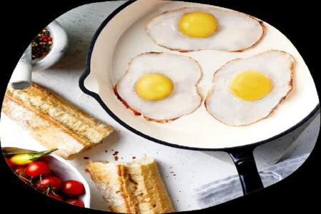 تخم مرغ گیاهی ،اخبار علمی،خبرهای علمی تخم مرغ گیاهی,اخبار علمی ,خبرهای علمی