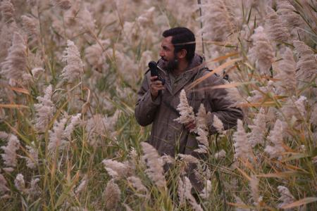   فروش سینما,اخبار فرهنگی,خبرهای فرهنگی 