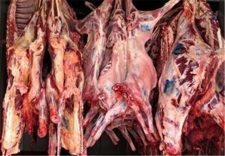 گوشت گوسفندی،اخباراقتصادی ،خبرهای اقتصادی گوشت گوسفندی,اخباراقتصادی ,خبرهای اقتصادی