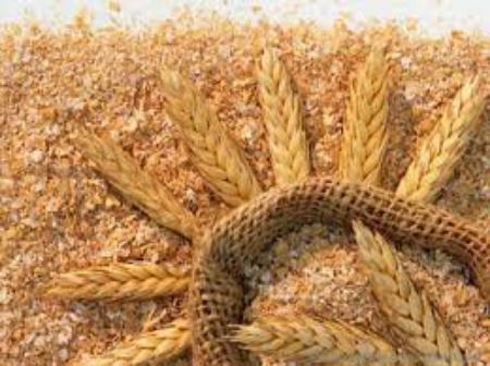 قیمت سبوس،اخبار اقتصادی،خبرهای اقتصادی