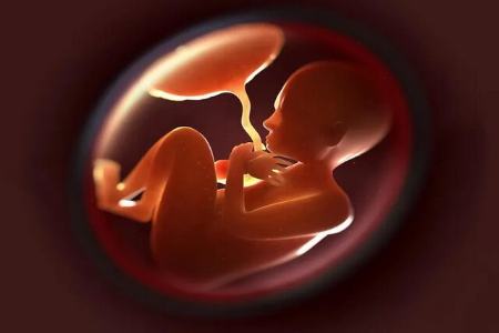 سقط جنین،اخبار پزشکی،خبرهای پزشکی