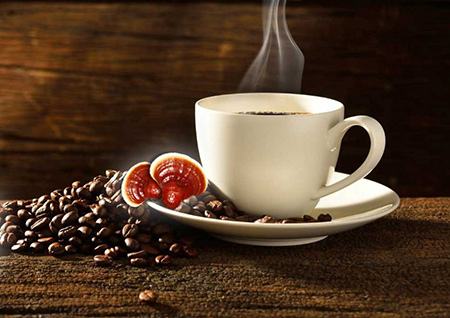 قهوه گانودرما چیست,خواص قهوه گانودرما چیست, فواید قهوه گانودرما