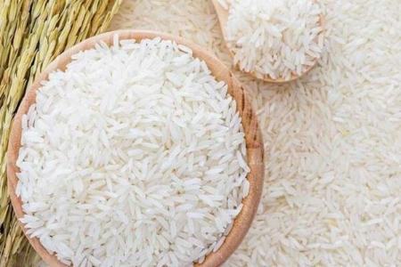 انتقال ویروس ،اخبار پزشکی ،خبرهای پزشکی انتقال ویروس,اخبار پزشکی ,خبرهای پزشکی