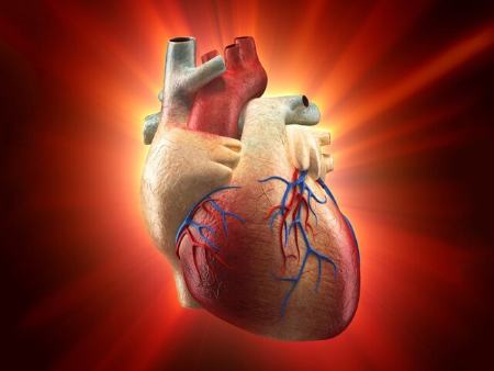 ژن ترمیم کننده قلب ،اخبار پزشکی ،خبرهای پزشکی ژن ترمیم کننده قلب,اخبار پزشکی ,خبرهای پزشکی