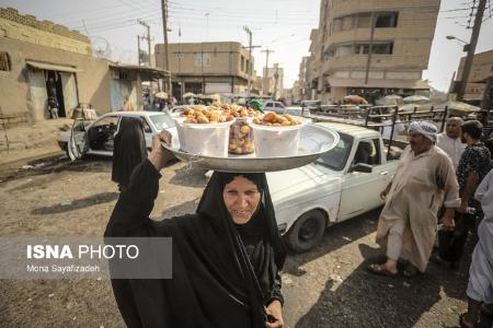 برداشت رطب  ,اخبارگوناگون,خبرهای گوناگون 