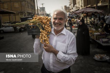 برداشت رطب  ,اخبارگوناگون,خبرهای گوناگون 