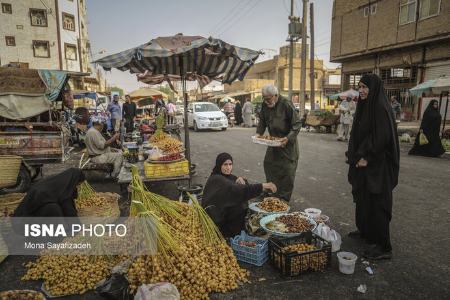 برداشت رطب  ,اخبارگوناگون,خبرهای گوناگون 