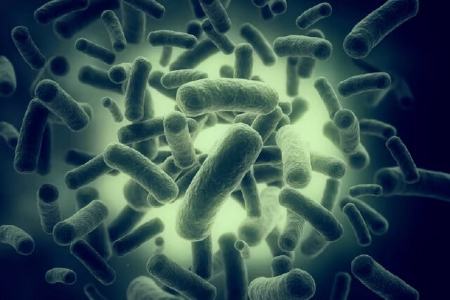 آنتی بیوتیک برای نابودی باکتری ها،اخبار پزشکی،خبرهای پزشکی